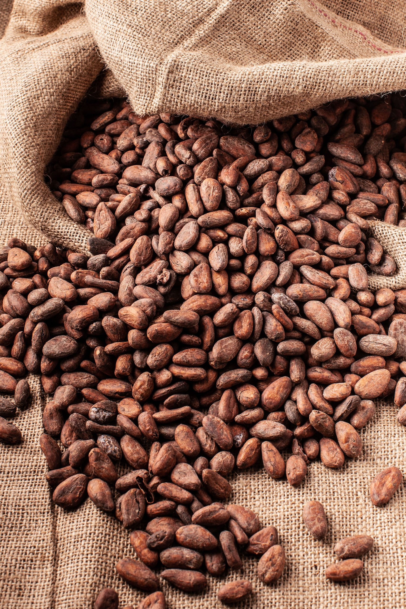 cacao-cameroun
