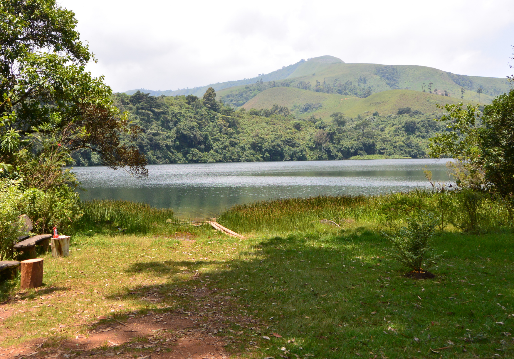 sanki-cameroun