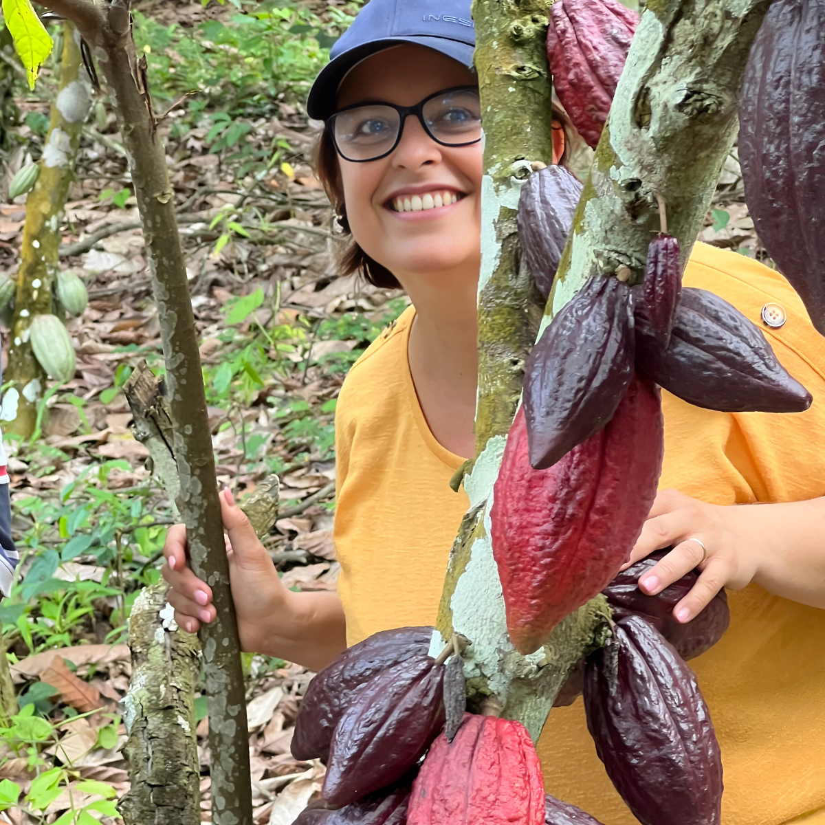 sanki-plantation-ngassam-farm-coopérative